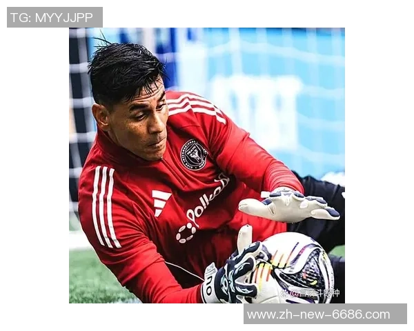 谁在绿茵场上挥洒汗水与激情共同演绎足球的魅力与梦想